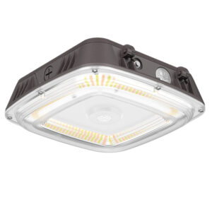 LED Garage & Canopy Light (LM-CL)